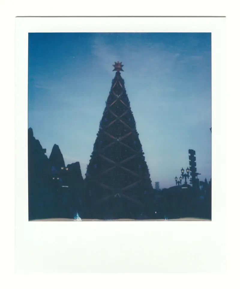 Shot on Polaroid