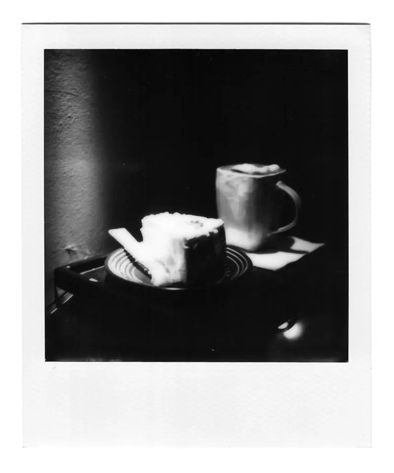 Shot on Polaroid