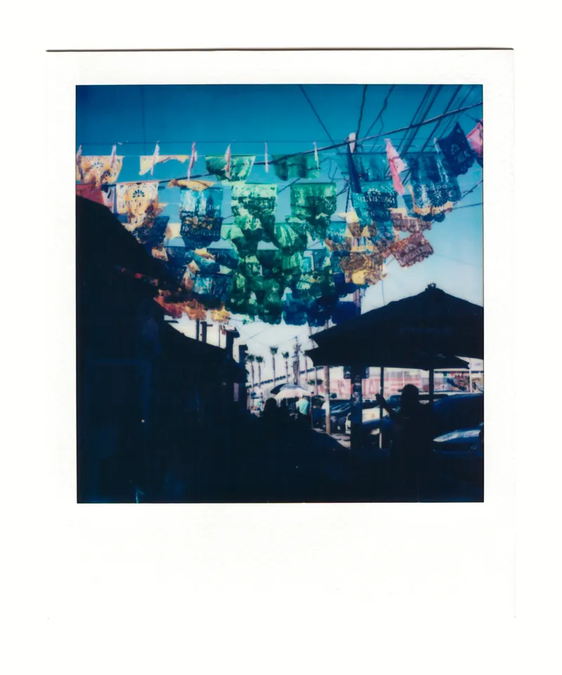 Shot on Polaroid