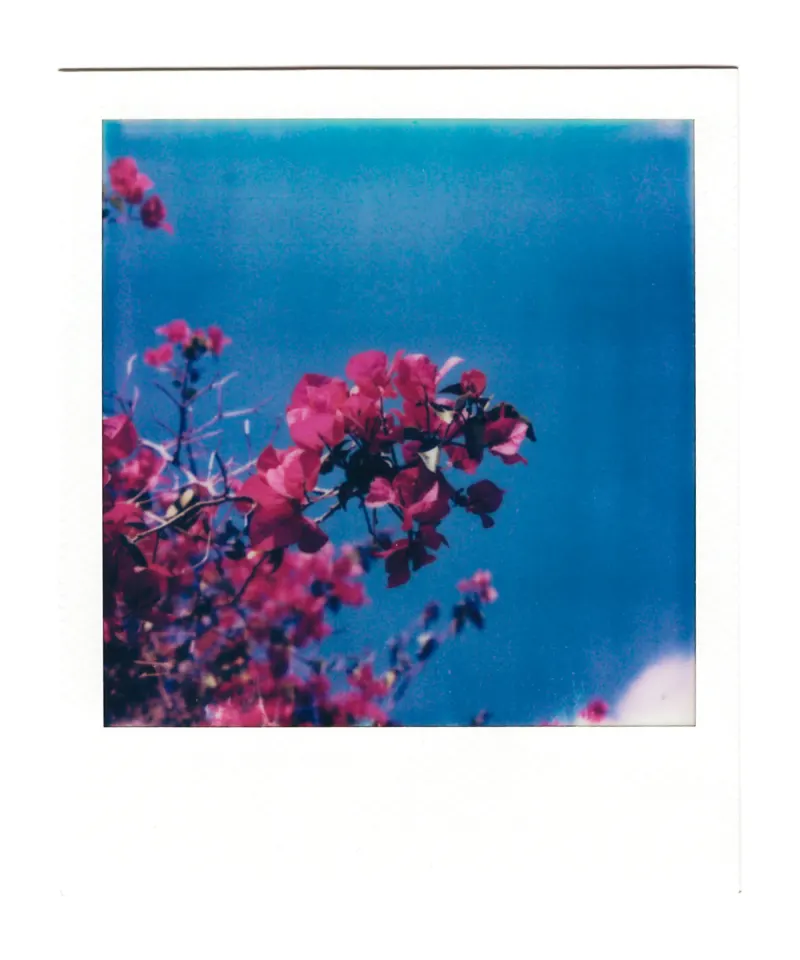 Shot on Polaroid