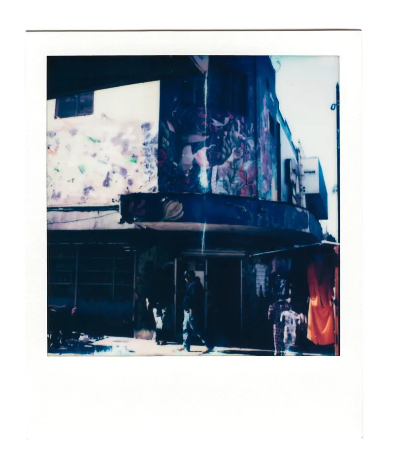 Shot on Polaroid