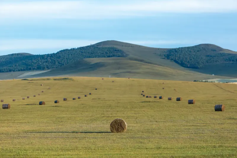 Inner Mongolia, China